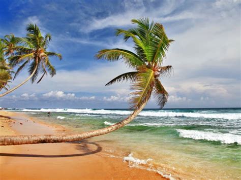 A guide to Sri Lanka's best beaches | On The Go Tours | US