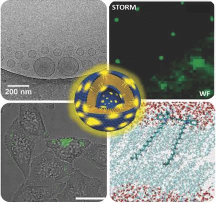 Nanostructuring Lipophilic Dyes in Water Using Stable Vesicles ...