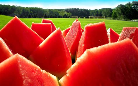 Watermelon slices wallpaper - Photography wallpapers - #20325