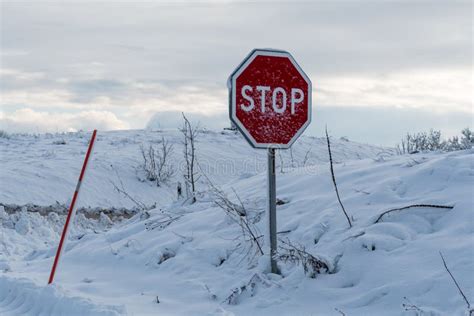 Snow covered stop sign stock photo. Image of snow, winter - 108336642