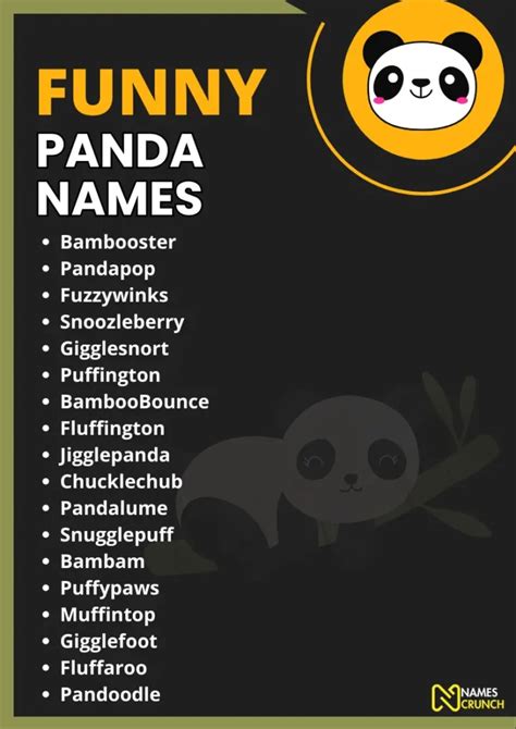 Funny Panda Names (Hilarious Ideas) - Names Crunch