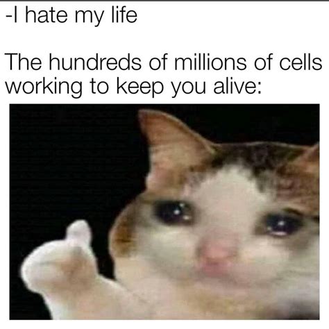 Liven Up Life With These Biology Memes - Biology | Memes