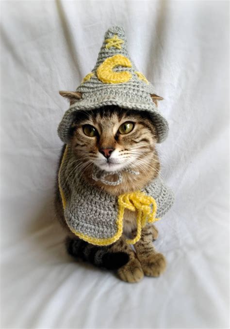 Wizard Costume for Cat Wizard Hat for Cat Wizard Pet Costume - Etsy Ireland