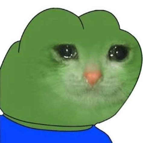 Sad Pepe : r/sadcats