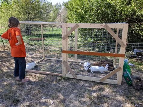 The Rabitat: A Humane Rabbit Habitat – BACKYARDABLES