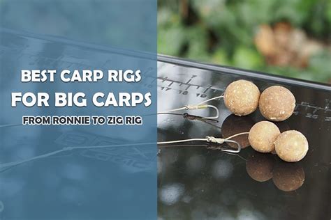 Best Carp Fishing Rigs: Top 11 Carp Rigs Expertly Reviewed - Fishing ...