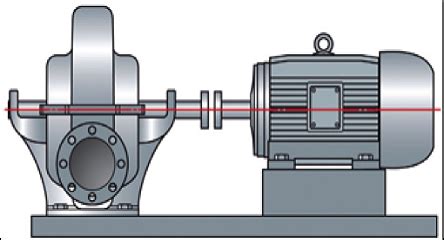 Shaft Alignment Fundamentals – 5-Step Alignment Procedure - CBM CONNECT®