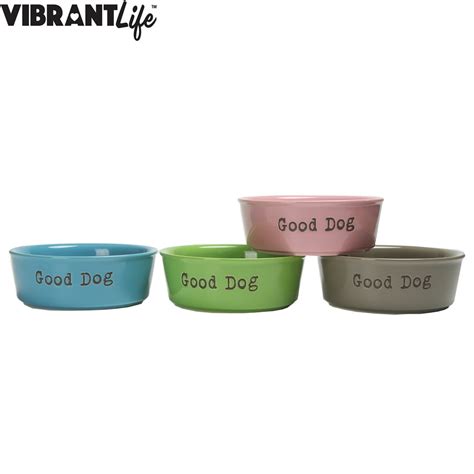 Vibrant Life Ceramic Dog Bowl, Large, 1.5 L, Assorted Color May Vary ...