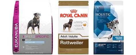 10 Best Dog Food for Rottweilers 2020 [Buying Guide] – Geekwrapped