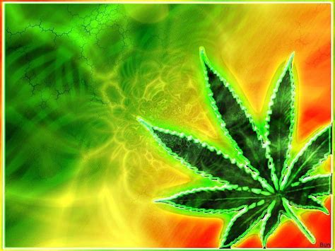 Ganja leaf HD wallpaper | Pxfuel