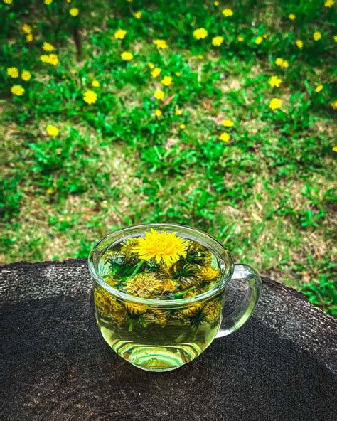 How to Make Dandelion Tea