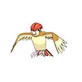 Mega-Pidgeot - Pokedex