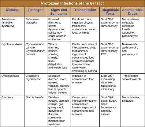 19.6: Protozoan Infections of the Gastrointestinal Tract - Biology ...