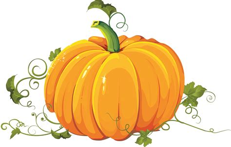 Pumpkin PNG