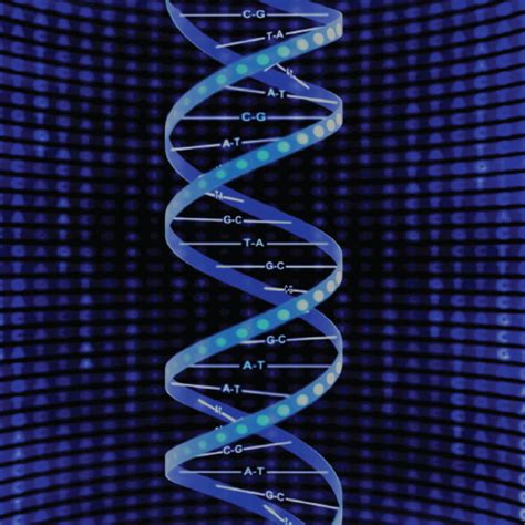 What is DNA Sequencing? – HudsonAlpha Institute for Biotechnology