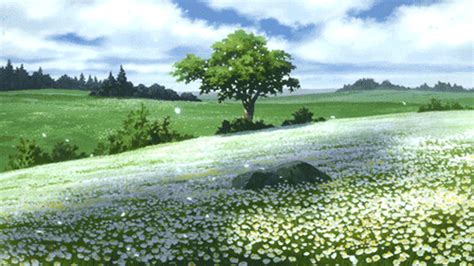 flower field anime | Tumblr