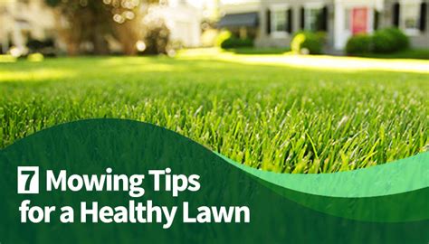 7 Mowing Tips for a Healthy Lawn - T&B Landscaping