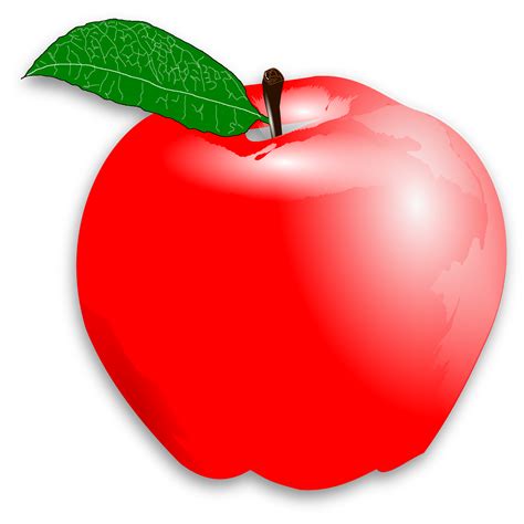 Apple clipart pdf, Apple pdf Transparent FREE for download on ...