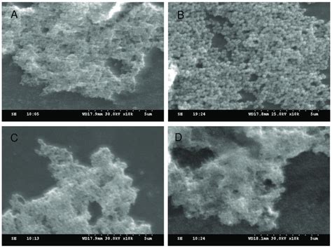 SEM images of Fe 3 O 4 with different molar quantity of FeCl 3 ·6H 2 O ...