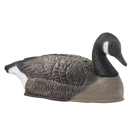 TangleFree™ Canada Goose Shell Decoys, 12 - Pk. - 97482, at Sportsman's ...