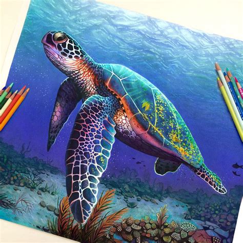 Incredible Sea Turtle Pencil Drawing