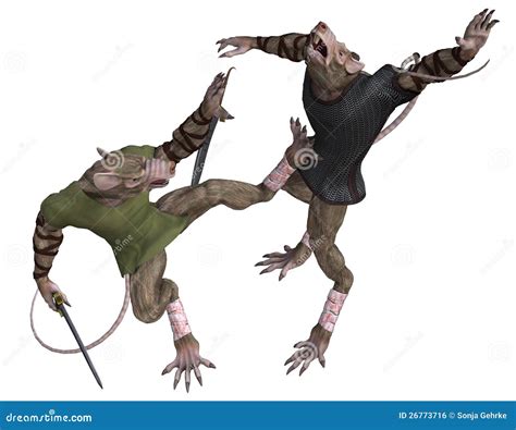 Fight Rats Royalty Free Stock Image - Image: 26773716