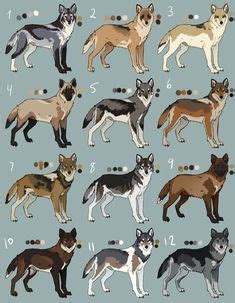 Pin by Bria McManus on Wolves | Wolf colors, Coat patterns, Real dog