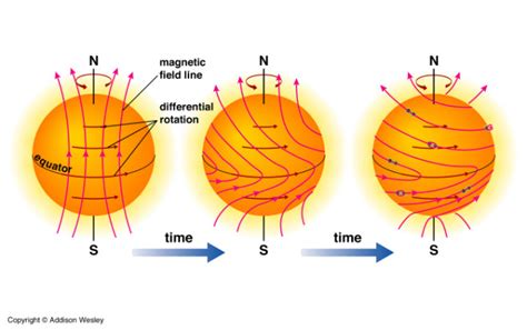 How big is the sun's magnetic field? | Socratic