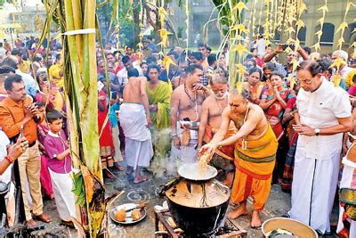 Thai Pongal celebrations in Colombo | Times Online - Daily Online ...