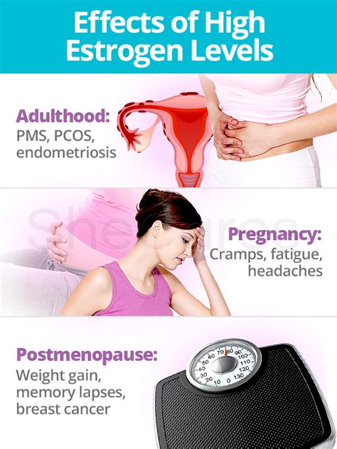 Estrogen Levels | SheCares | Oestrogen, Low estrogen symptoms, Estrogen ...