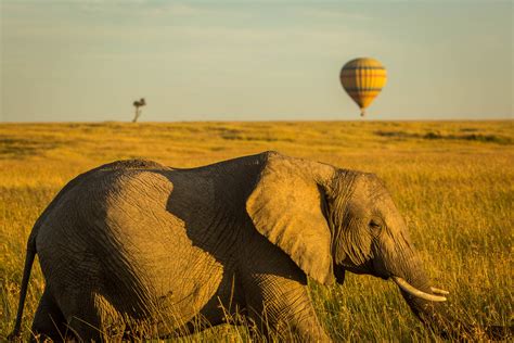 3 days—Masai Mara Safari Balloon