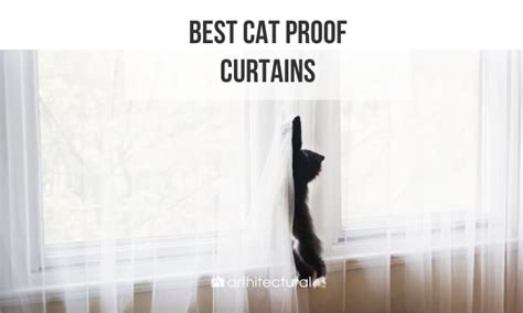 Best Cat Proof Curtains (Durable and Stylish)