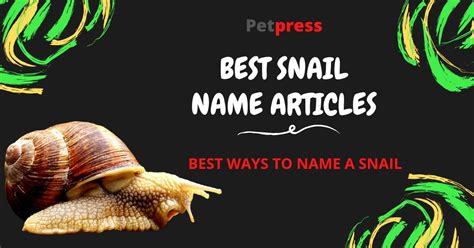 Best Ways To Name A Pet Snail - Good, Funny, & Famous Snail Names