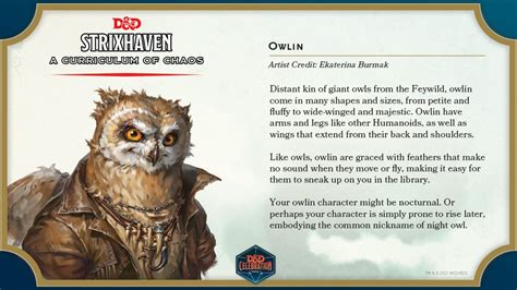 D&D: Your first look at the Strixhaven sourcebook – Owlin and mascots