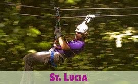 Rainforest Canopy Zip Line Tours, Park Excursions, Attractions and ...