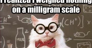 Caterville: Chemistry Cat Memes