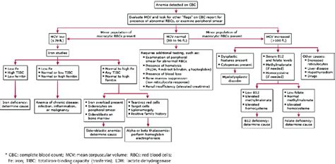 Flowchart to follow in the diagnosis of anemia according to MCV [4 ...