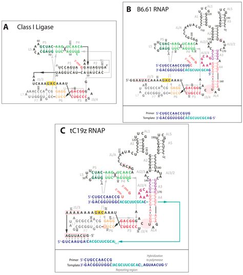 Life | Special Issue : The Origins and Early Evolution of RNA