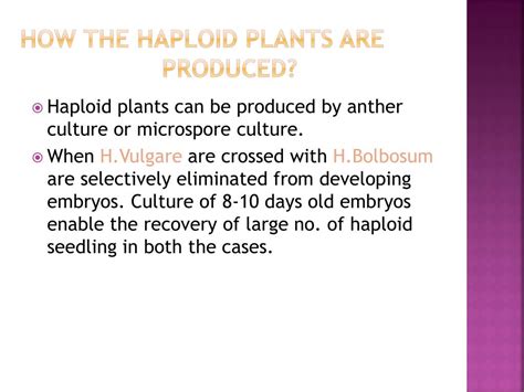 PPT - HAPLOID PLANTS PowerPoint Presentation, free download - ID:1876618