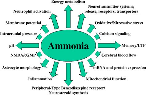 Ammonia