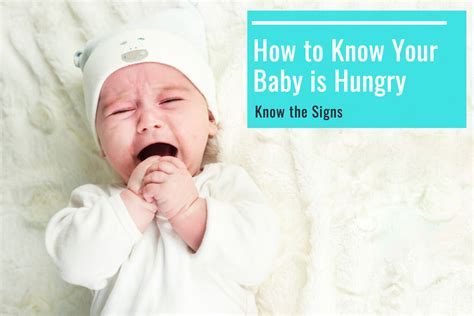 How to Know Your Baby is Hungry - Know the Signs - Being The Parent