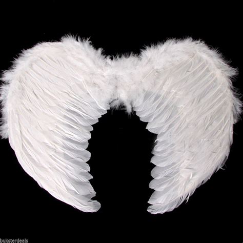 Free photo: White Angel Wings - Angel, Feathers, White - Free Download ...