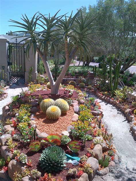 Backyard Cactus Garden Ideas For 2023