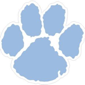 Camden County Wildcats Football Preview - The Turd Furgeson Report