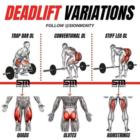 DEADLIFT VARIATIONS by @tips.4health - 🗯What is your favourite deadlift ...