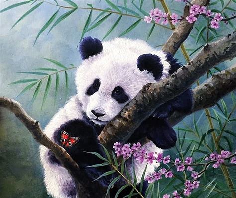 Panda cub, spring, white, pink, art, bear, abraham hunter, black, panda ...