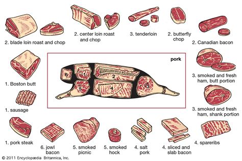 Pork | Definition, Cuts, & Preparation | Britannica