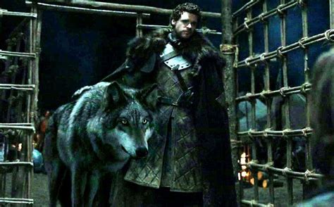 Protected Blog › Log in | Stark direwolf, Robb stark, Dire wolf