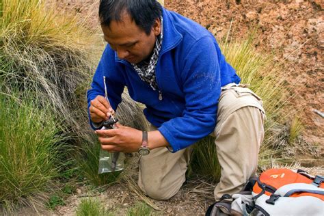 Learn more about the Andean cat–Wildlife Conservation Network