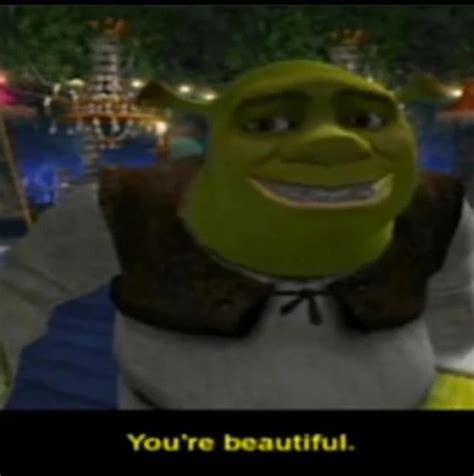 Shrek is love Shrek is life : r/Shrek